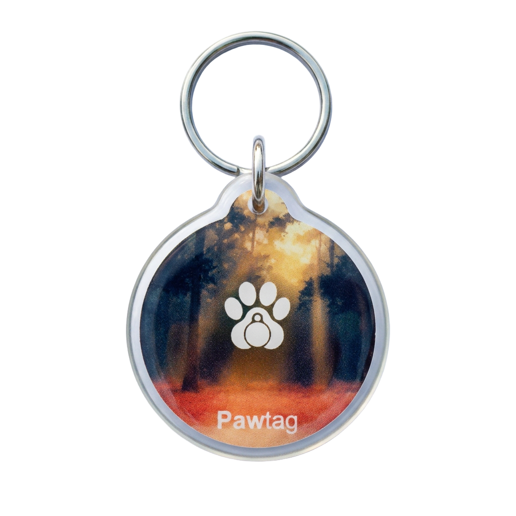 Pawtag Hundemarke Design Wald – grüne Marke mit NFC und QR-Code